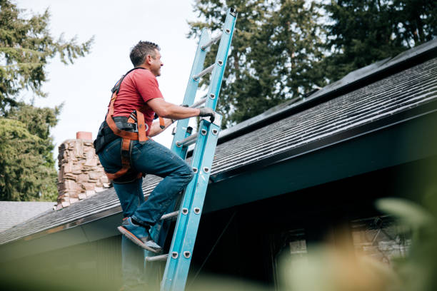 Best Gutter Installation and Repair  in Picacho Hills, NM